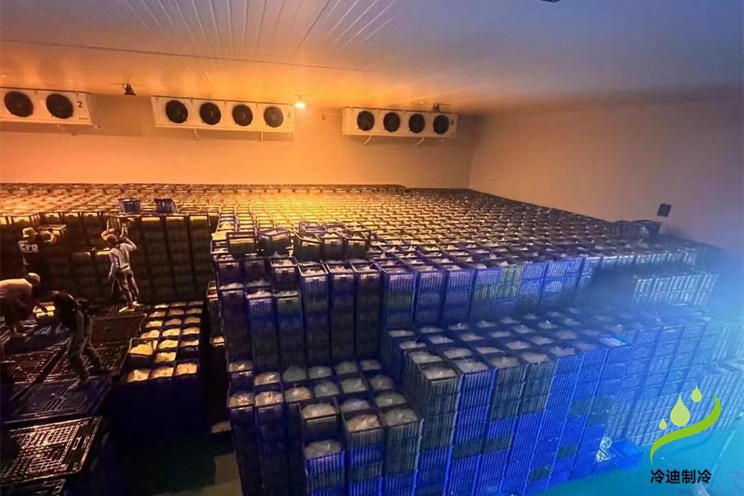 1000立方冷庫可以存多少噸？用多大制冷設(shè)備？